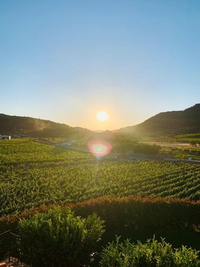 Quinta Do Palame Villa วิลา ฟลอร์ ภายนอก รูปภาพ
